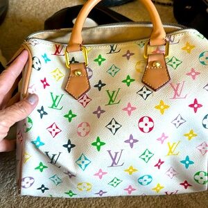 Multicolored speedy purse